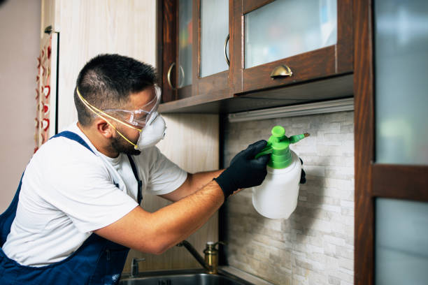 Best Emergency Pest Control  in Stamps, AR