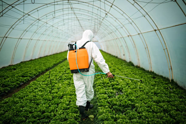 Best Pest Prevention Services  in Stamps, AR