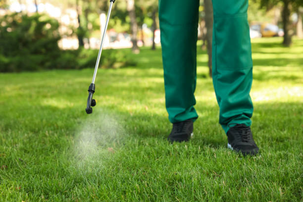 Best Commercial Pest Control Services  in Stamps, AR