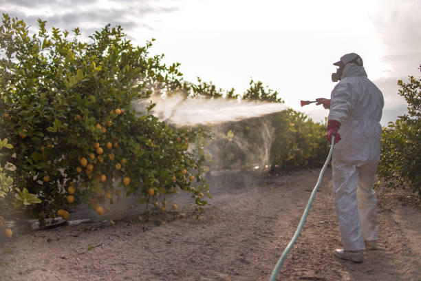 Best Cockroach Control Services  in Stamps, AR