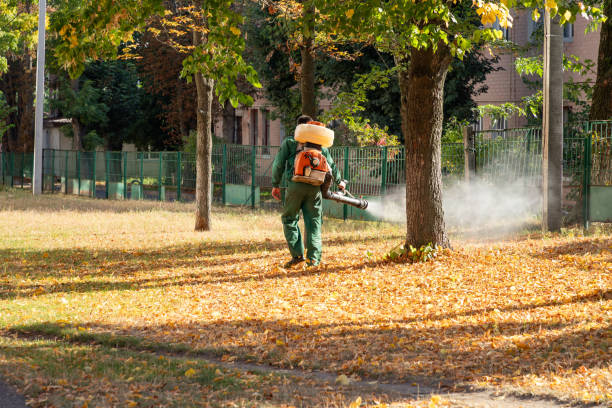 Stamps, AR Pest Control Company